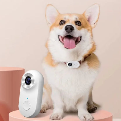 PawGuard camera bundle