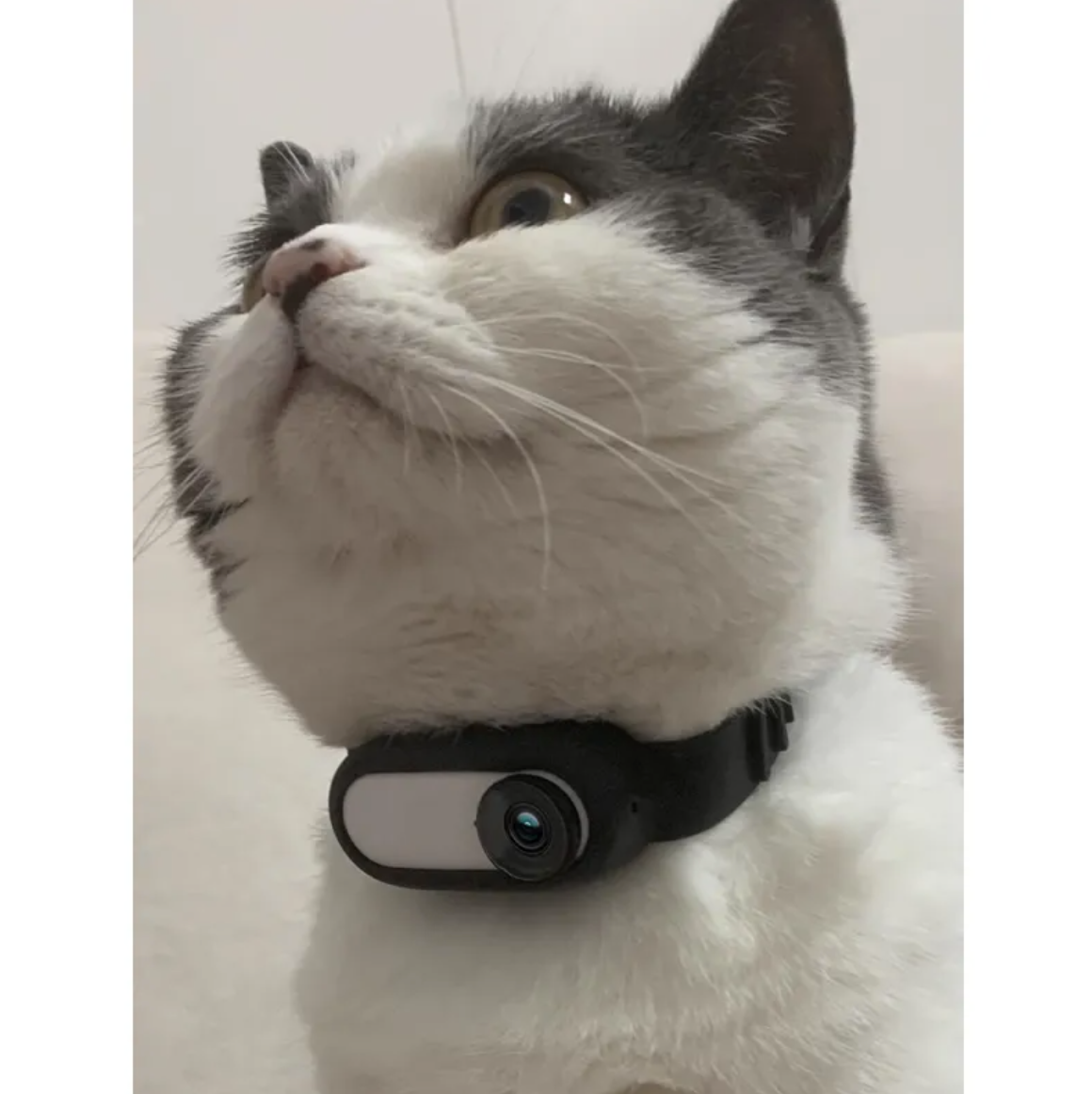 PawGuard camera bundle